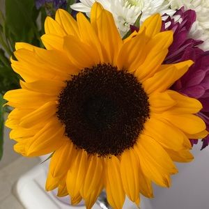 Meet your Posher, Brendaly